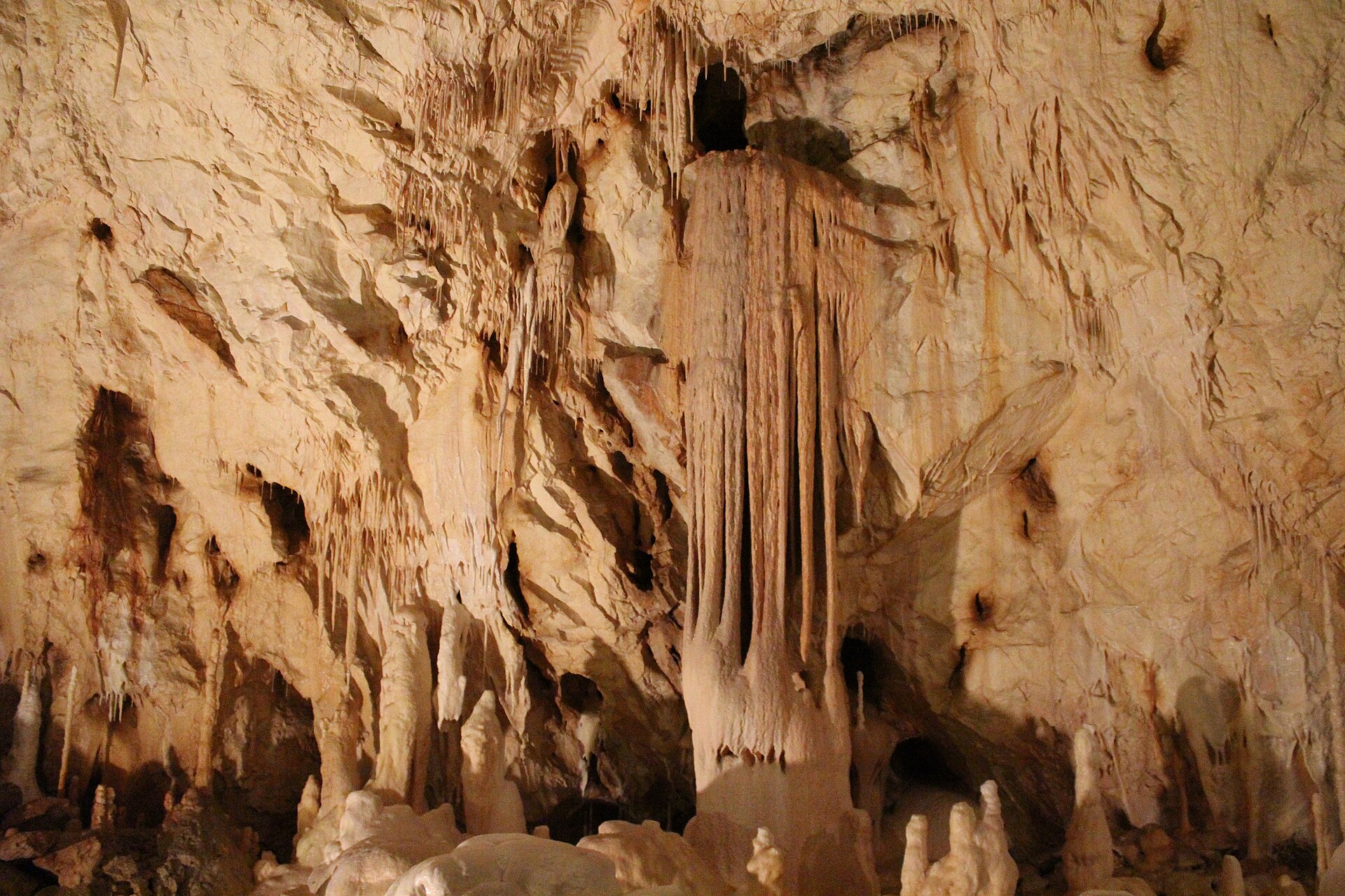 Formazioni di stalattiti dentro la Grotta degli Orsi