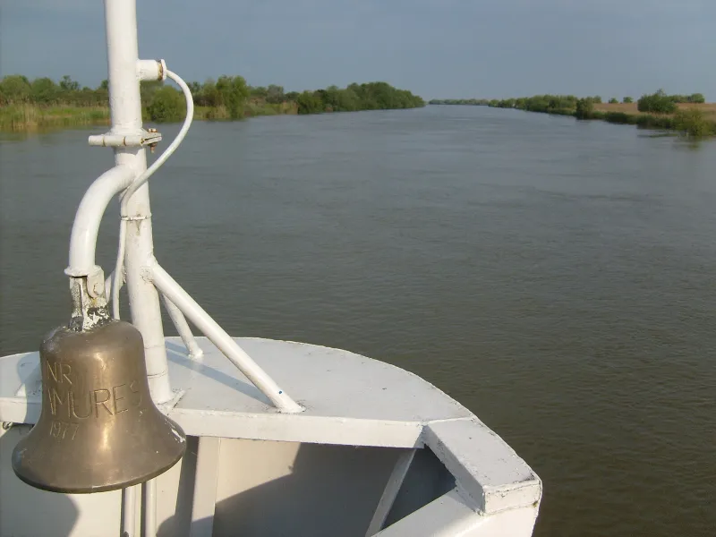 Ein Donauarm windet sich durch das Delta
