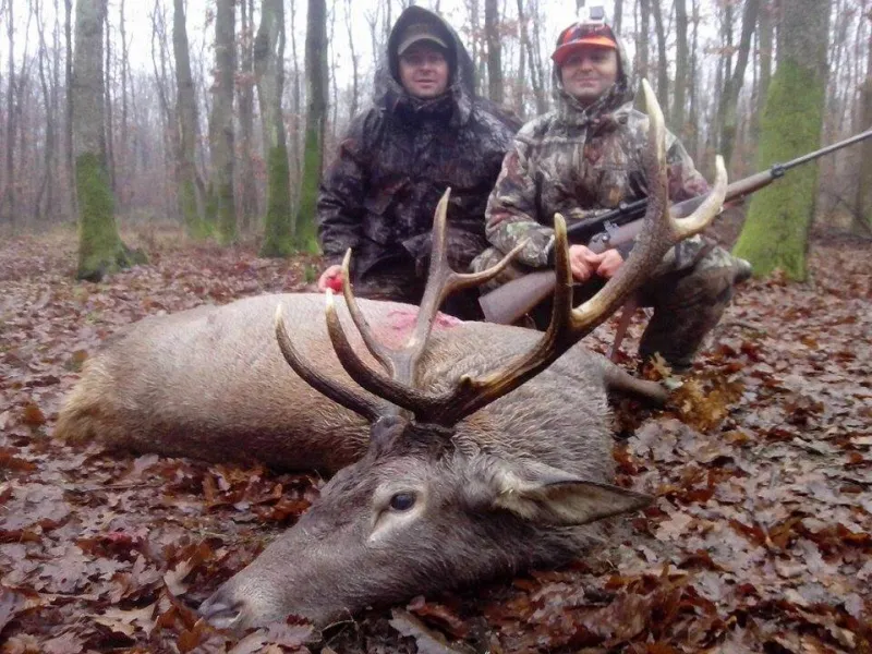 Red deer trophy