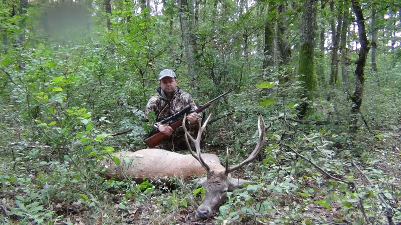 Red deer trophy