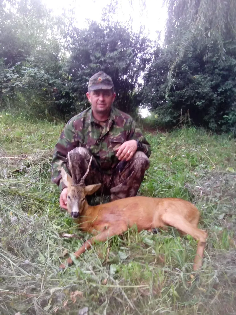 Roe deer trophy