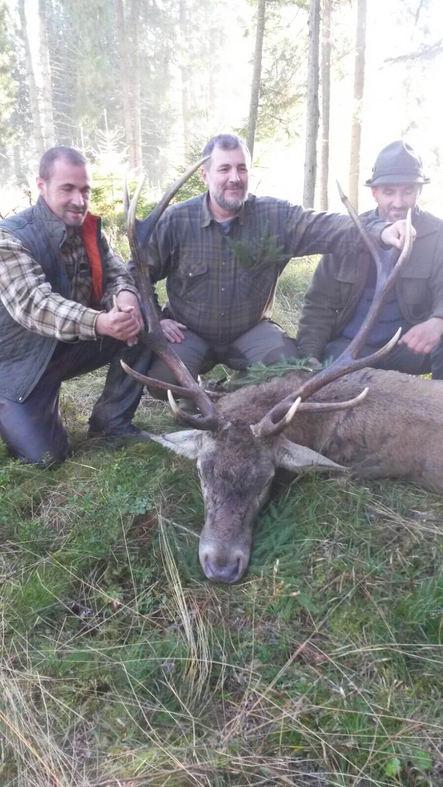 Red deer trophy