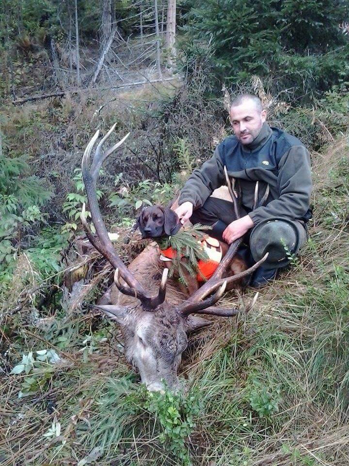 Red deer trophy